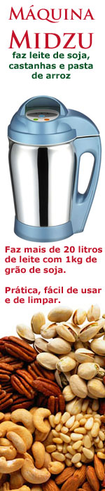 Leite de soja caseiro e barato