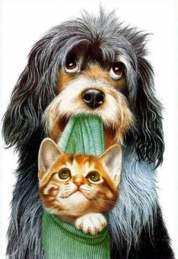 Cachorrinho e gatinho para adoção Cão e gato para adoção