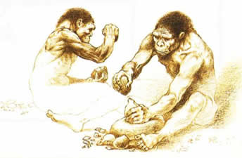 homo_habilis_05.jpg