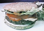 sunburger.jpg