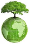 Responsabilidade Ambiental