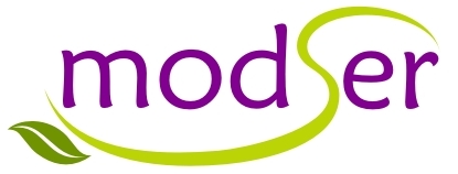 logomarca_modser_final_cores