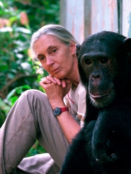 Jane Goodall 427x570