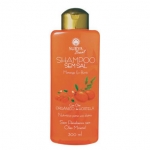 shampoo_morango__4f62a351e2142