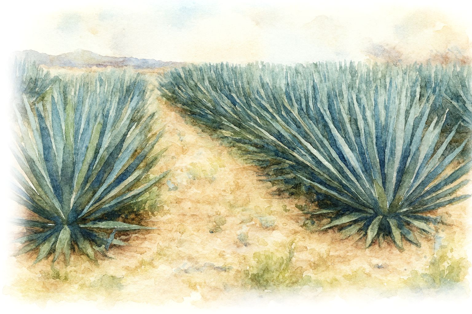 sisal