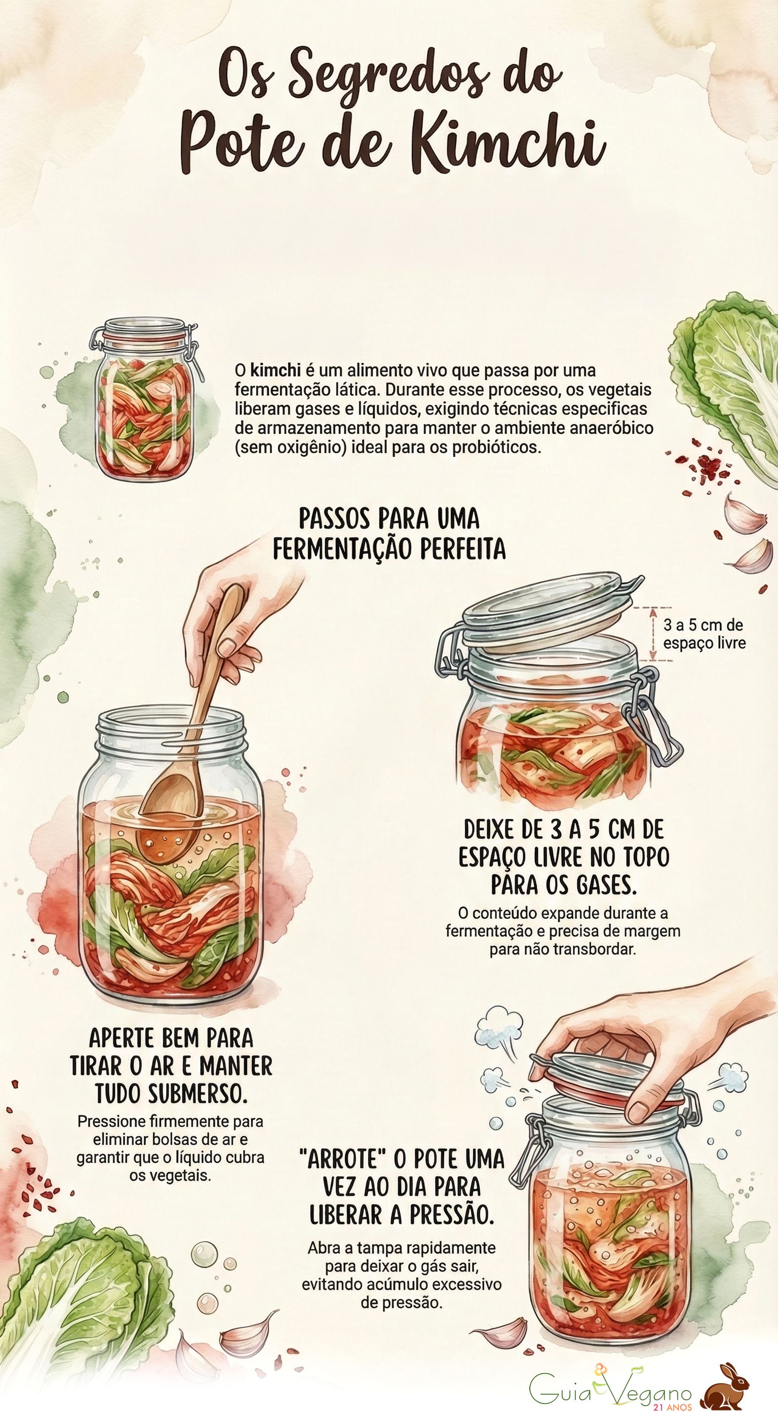 fermentacao do kimchi