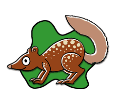 01quoll_f.gif