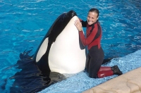 Baleia se vinga de seus sequestradores em SeaWorld