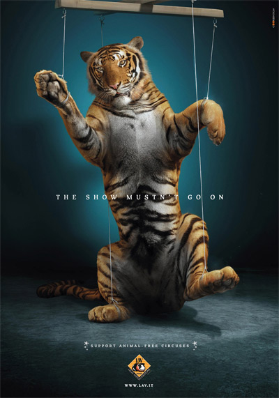 tiger-animal-circus-ad-lav