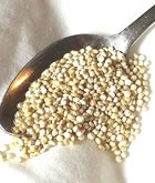 quinoa1.jpg