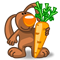 Artigos sobre nutrição vegetariana