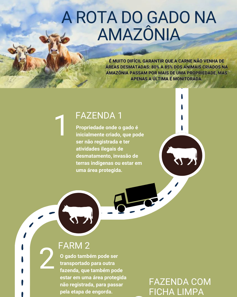 Infográfico do gado na amazonia 1