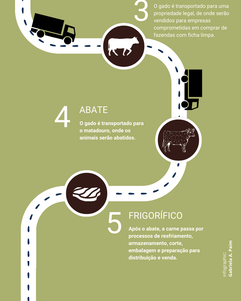 Infográfico do gado na amazonia 2