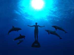 Documentário The Cove (a cova)