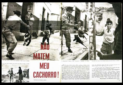 nao_matem_meu_cachorro