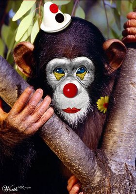 Pesquisadores pedem o fim do uso de chimpanzés em filmes e propagandas
