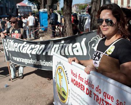 Vanguarda Abolicionista leva o ativismo gaúcho ao show de Paul McCartney