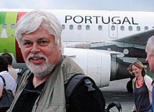 A Maluca Comissão Baleeira Internacional inicia seu encontro anual, desta vez na Ilha da Madeira, Portugal