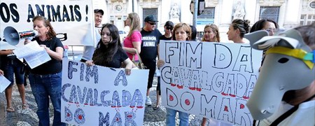 Cavalgada do Mar: rejeição segue a galope