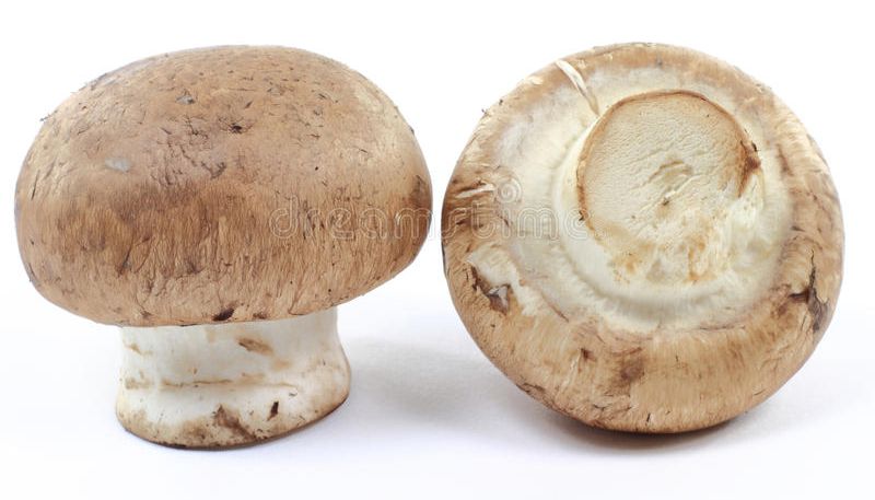 macro picture organic cremini mushrooms 16785009