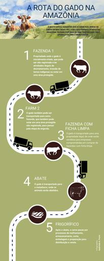 Infográfico do gado na amazonia.pdf