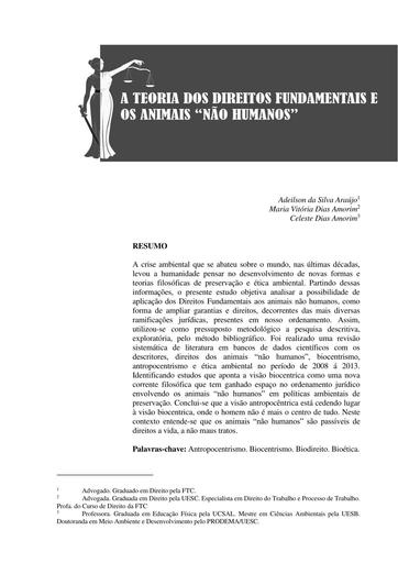 A teoria dos direitos fundamentais e os animais "não humanos"