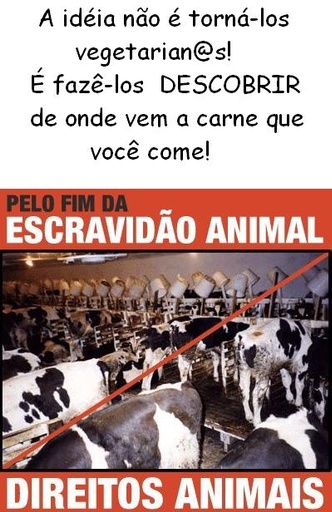 Sugestão de Cartaz